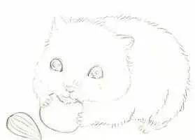 彩铅三只仓鼠图片,小仓鼠彩铅教程