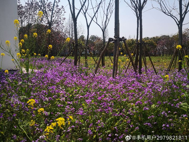 上海浦江附近好玩的地方,上海浦江镇最繁华的地方
