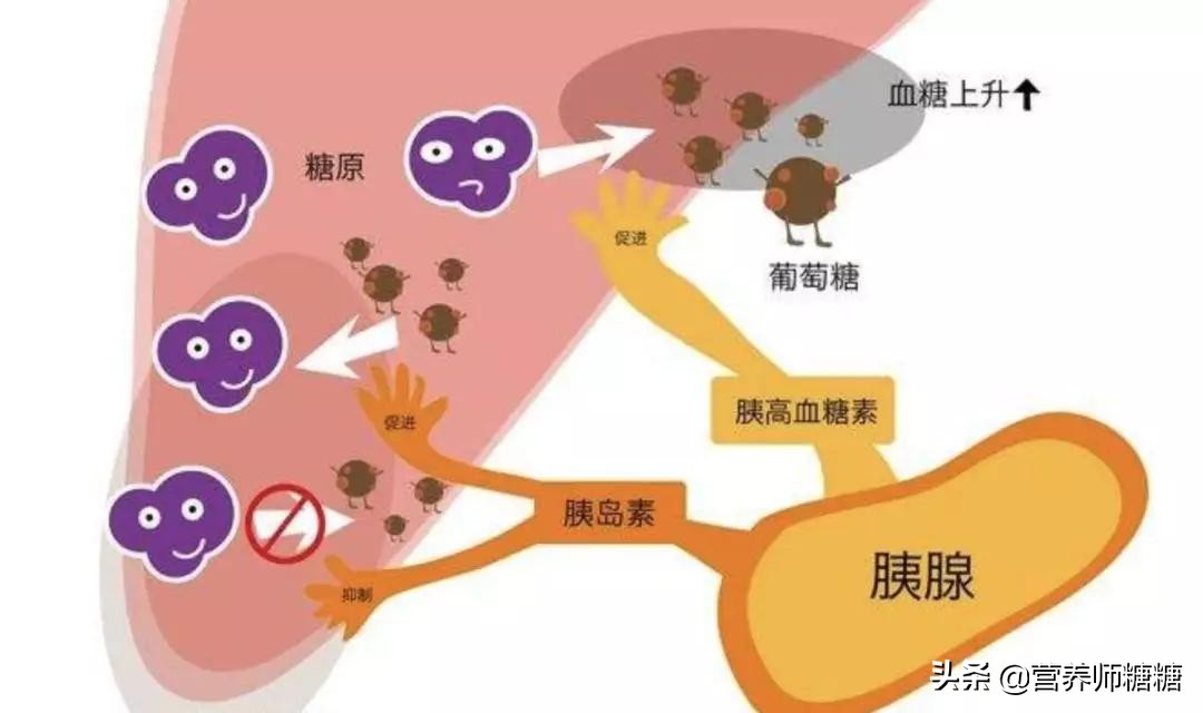 希望!五种有望「彻底治愈」糖尿病高科技