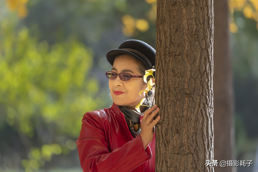 北京看银杏树林最好的地方,丰台区银杏林地址
