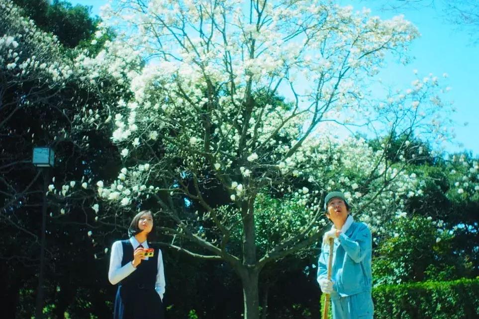 岛国鬼才！就这样，他拍出了年度爆款