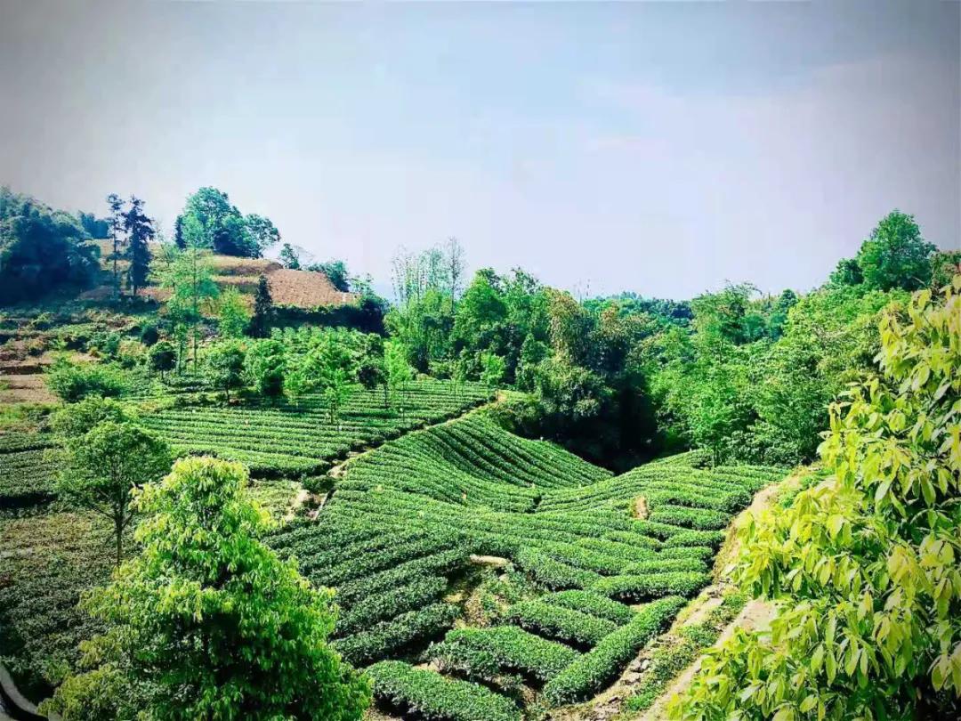 雅安上里古镇最好的民宿推荐,原地过年品味年味