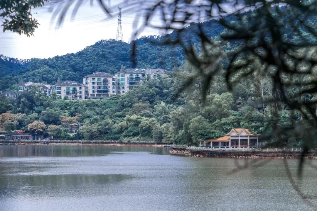 深圳游玩合集,深圳世界之窗游玩攻略必玩项目