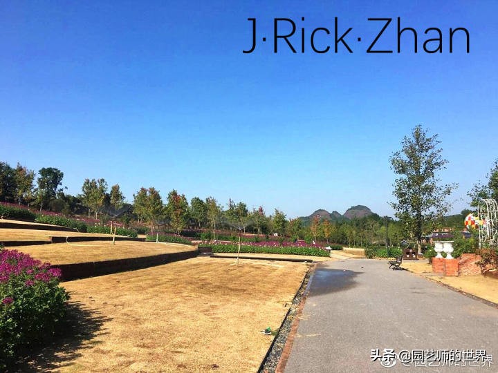 怎么种植草坪不长杂草,如何养好草坪