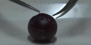 医学缝针练习,医生如何练习缝针