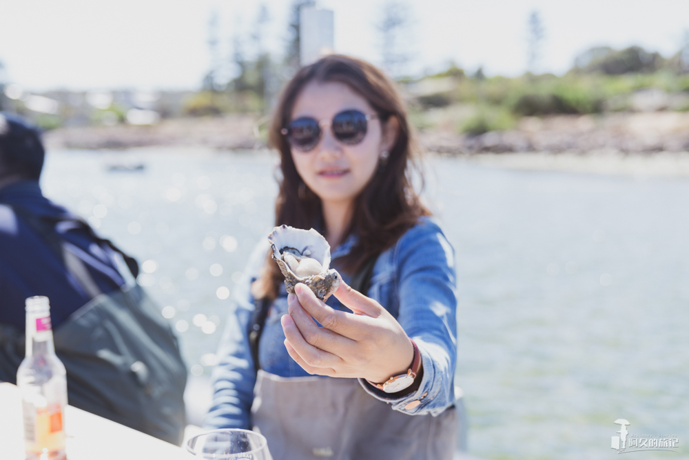 在南澳大利亚的艾尔半岛，Get黄教主同款生蚝农场之旅