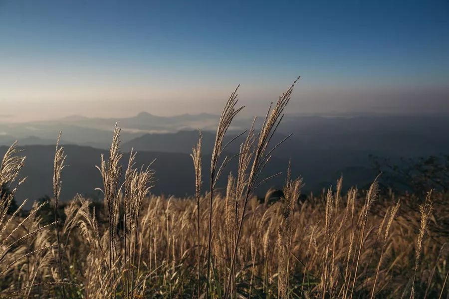 襄阳武汉周边旅游景点,武汉周边民宿旅游景点