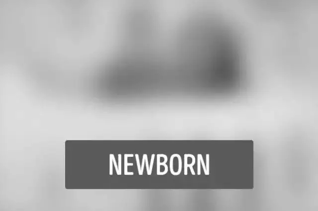 刚出生到12个月大，组图带你了解宝宝眼中的世界，和你想的不一样