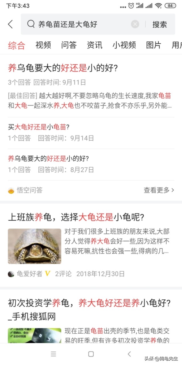 乌龟苗和成体区别,2-3厘米龟苗可以跟大龟混养吗