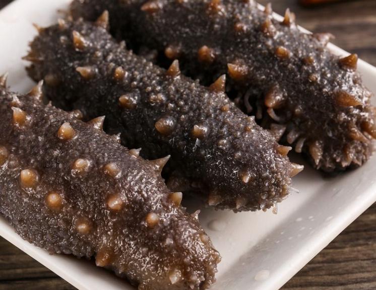 大厨教你炒海参的正确做法,海参的家常做法海参炒大葱