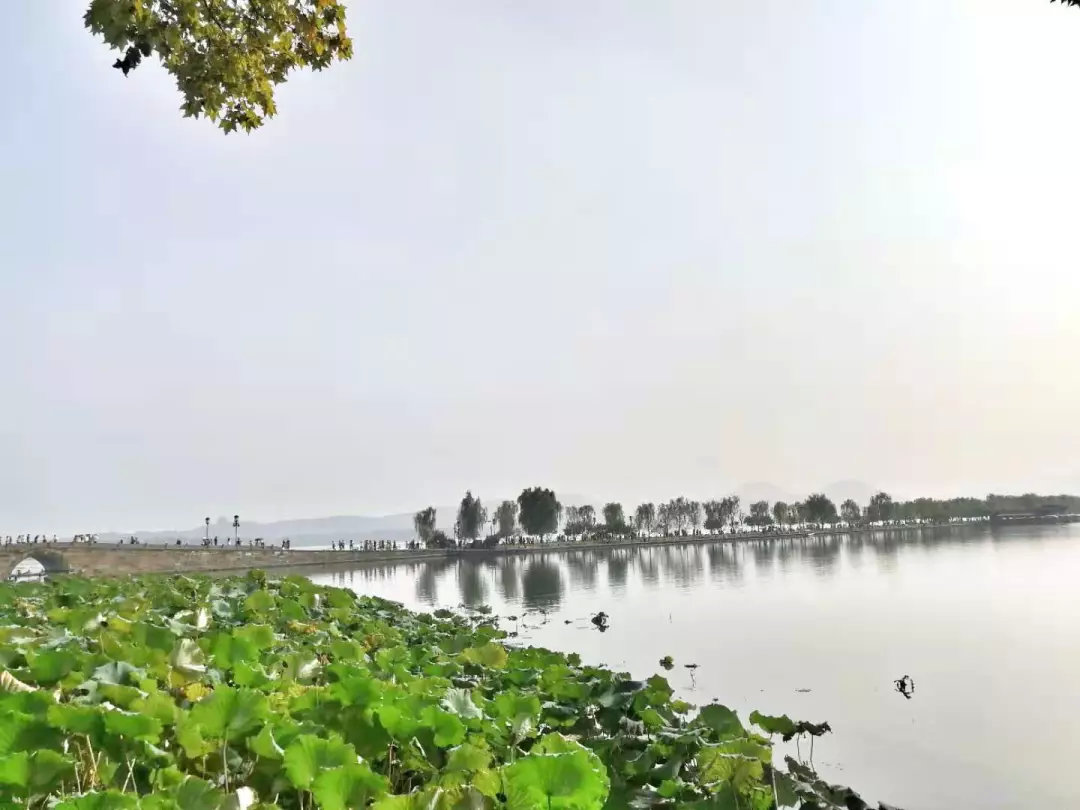 但行好事莫问前程做个善良的人,但行好事莫问前程做一个善良的人