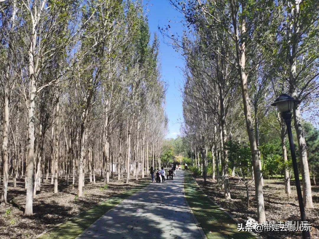 房山青龙湖镇亲子度假酒店,北京房山酒店儿童乐园