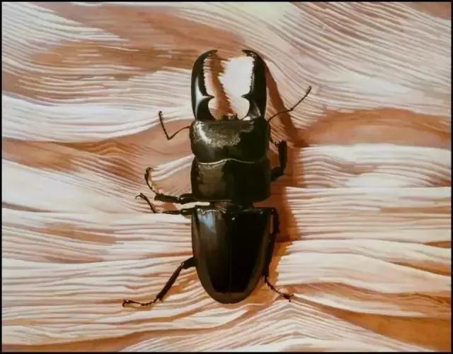 45岁韩国大叔,韩国45岁大叔