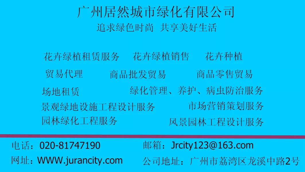 君子兰盆栽几月份换盆最好,绿植君子兰换土时间及方法