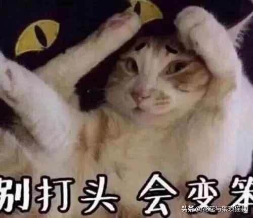 如何防止猫咪在床上乱拉乱尿,猫咪已经绝育喜欢乱尿怎么办