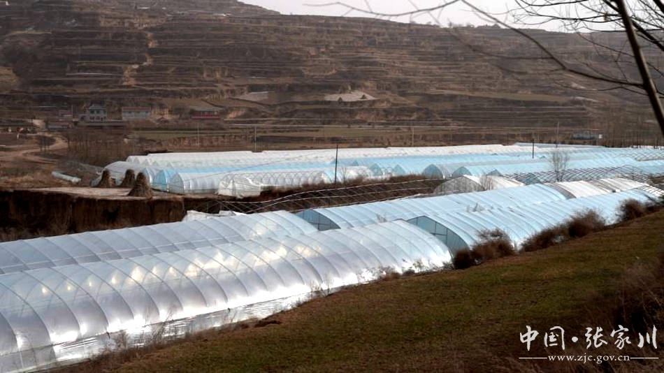 【疫情防控甘肃在行动】战“疫”不误农事：直击一个乡的疫情防控阻击战