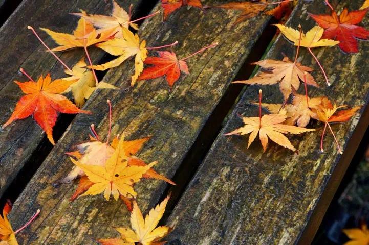 日语词汇有趣,商务日语100个词汇