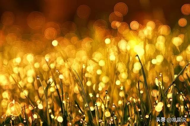 第一印象很重要内在更重要,第一印象很重要原版