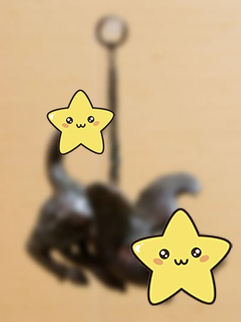 不懂就问：大卫丁丁小，是故意设置的吗？