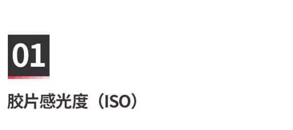 新手玩胶片机,怎么选择胶片机