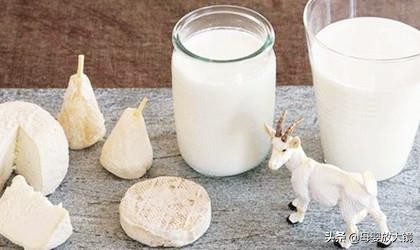 羊奶粉容易导致宝宝过敏吗,牛奶蛋白过敏宝宝适合哪种羊奶粉