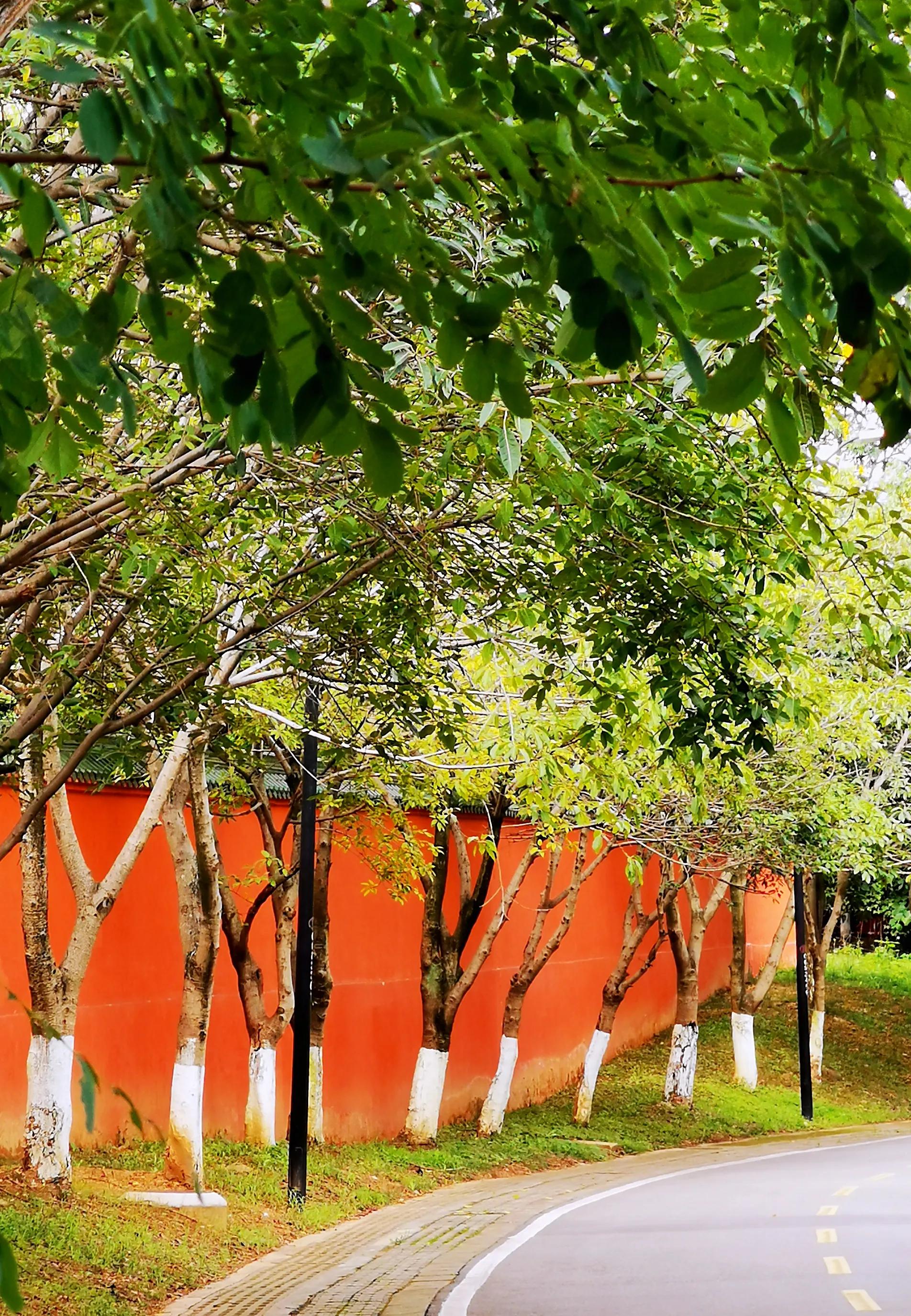 老成都的回忆完整版,老成都的记忆电烤肉串