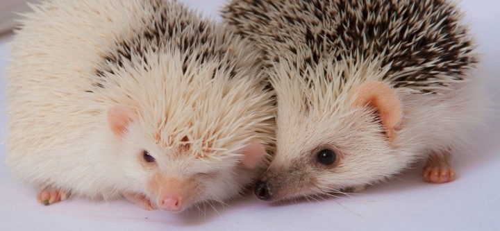 职来职往完整版台词,职来职往求职者谈人格分析