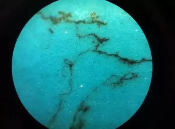 绿松石鉴别实验,绿松石鉴别上什么油