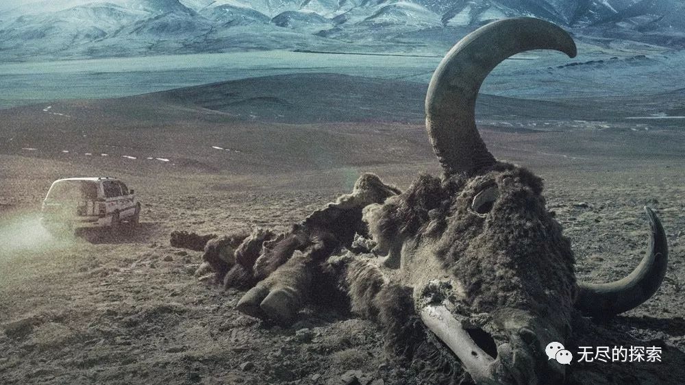 中国汽车改装合法化能实现吗,汽车改装有必要合法化吗为什么