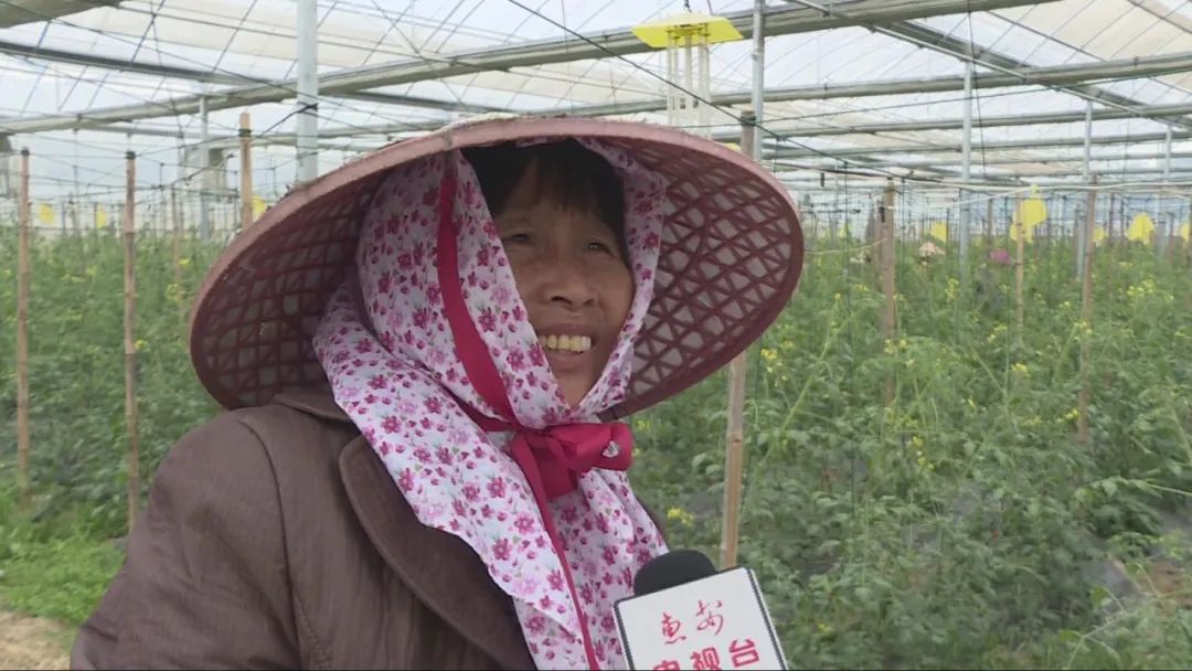 特色农业致富模式,农业致富新道路