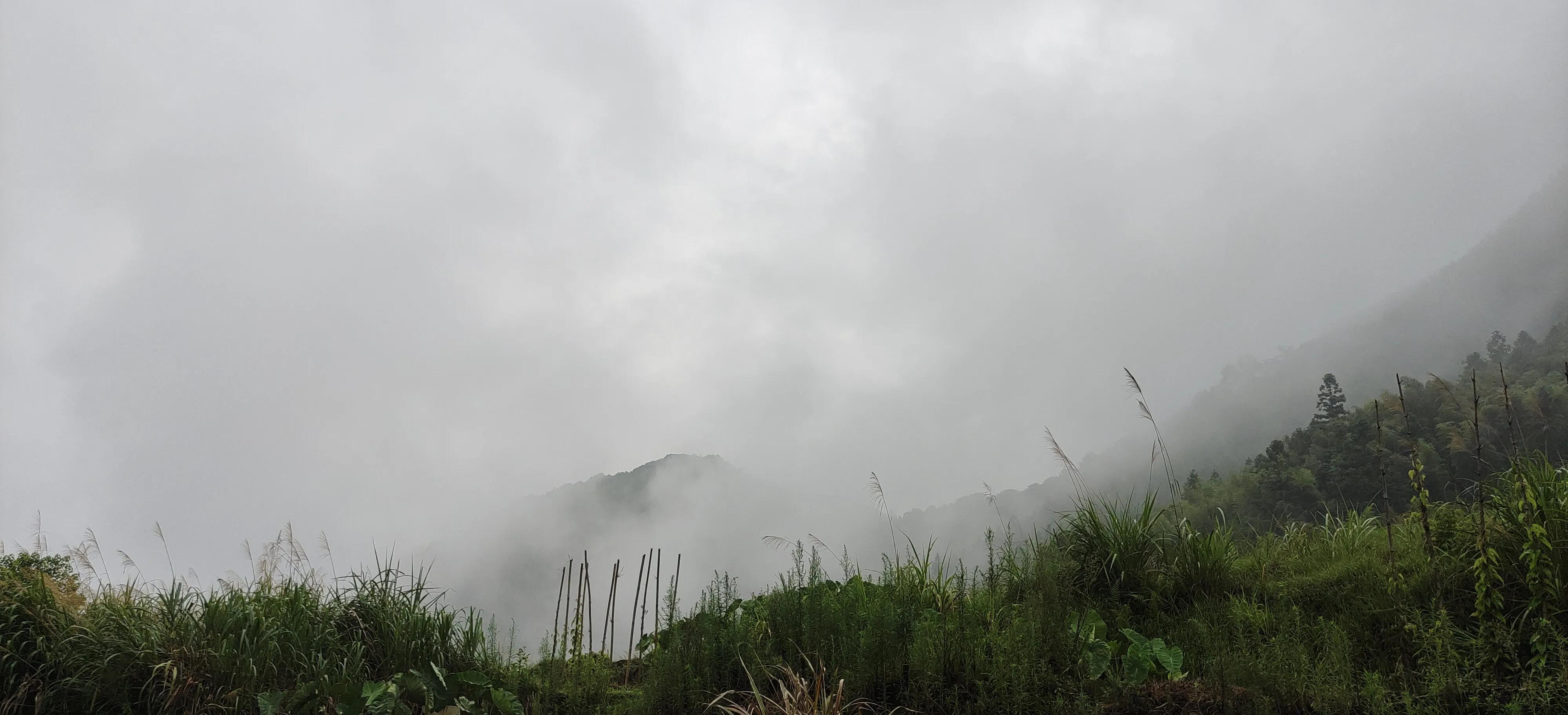 登上绝壁悬崖感受一览众山小,登上泰山之巅的感觉