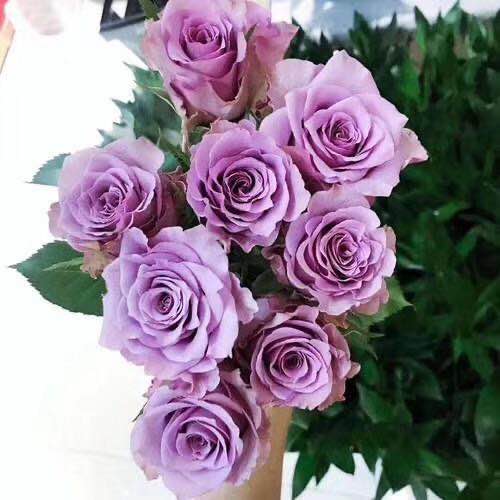 断了线的风筝任他飞,断了线的风筝伤感语录