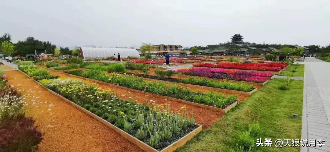 有人去过世园会吗,去过世园会好不好玩