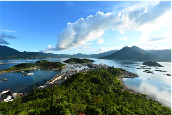 是鸡腿还是鸡肋,权威解析大亚湾(连载二)