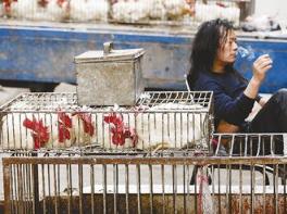 干小生意真的比打工挣钱吗,在农村做这4个小生意收入至少20万