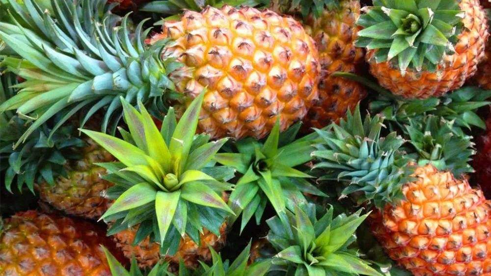 菠萝用菜刀怎么削皮简单,菜刀削菠萝的方法技巧