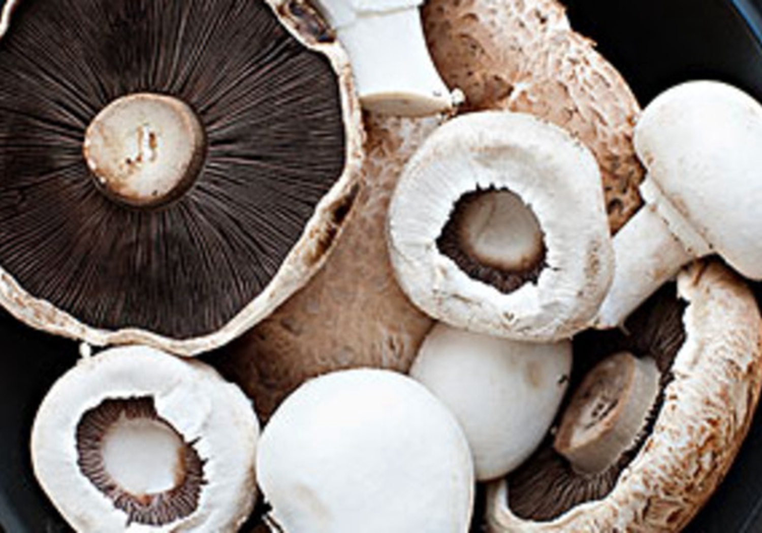 双孢菇的种植方法及步骤,双孢菇的室内种植方法和技术