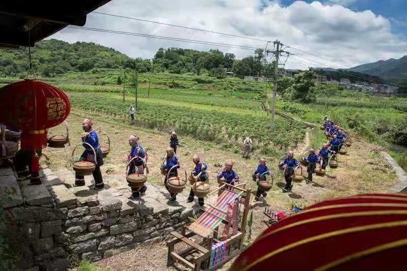 探访百岁老人公益,探访高龄老人暖心在行动