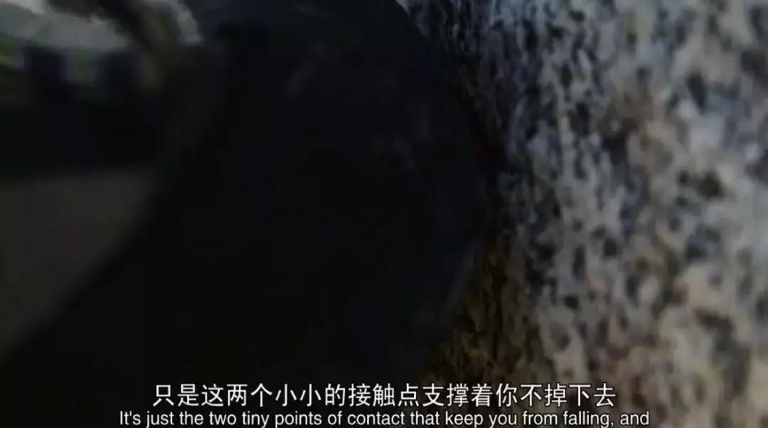 豆瓣9.0分以上的奥斯卡电影,豆瓣9.1分全程让人窒息