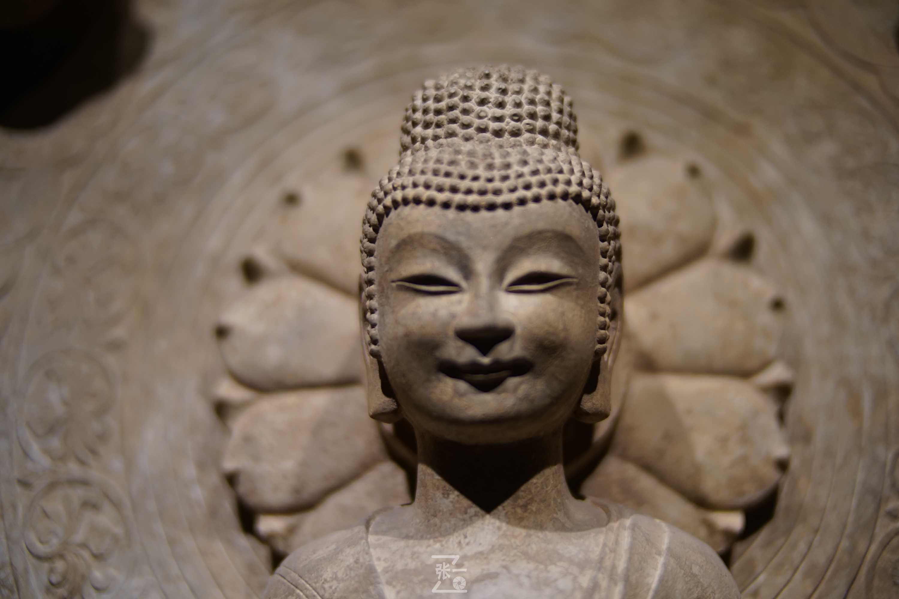 中国产微单,24-135镜头索尼