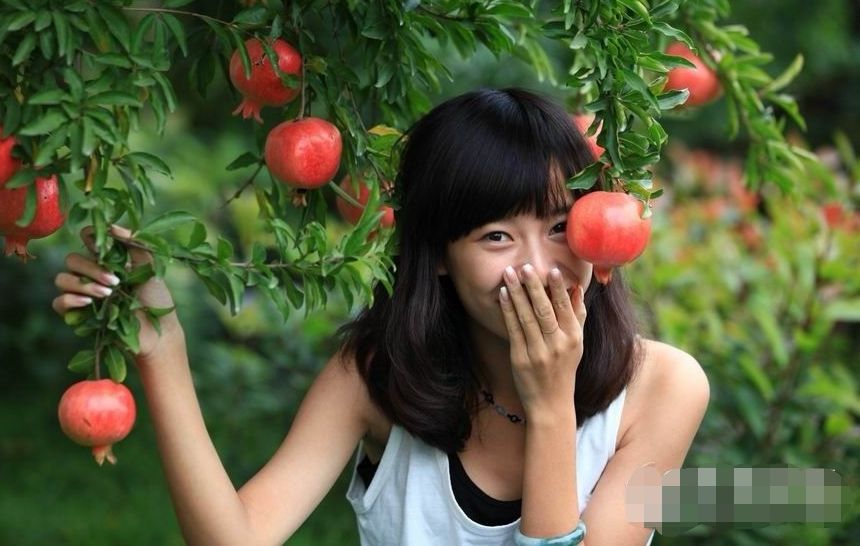 为什么孕妇不能摘树上的果实,孕妇摘过的果树有什么说法