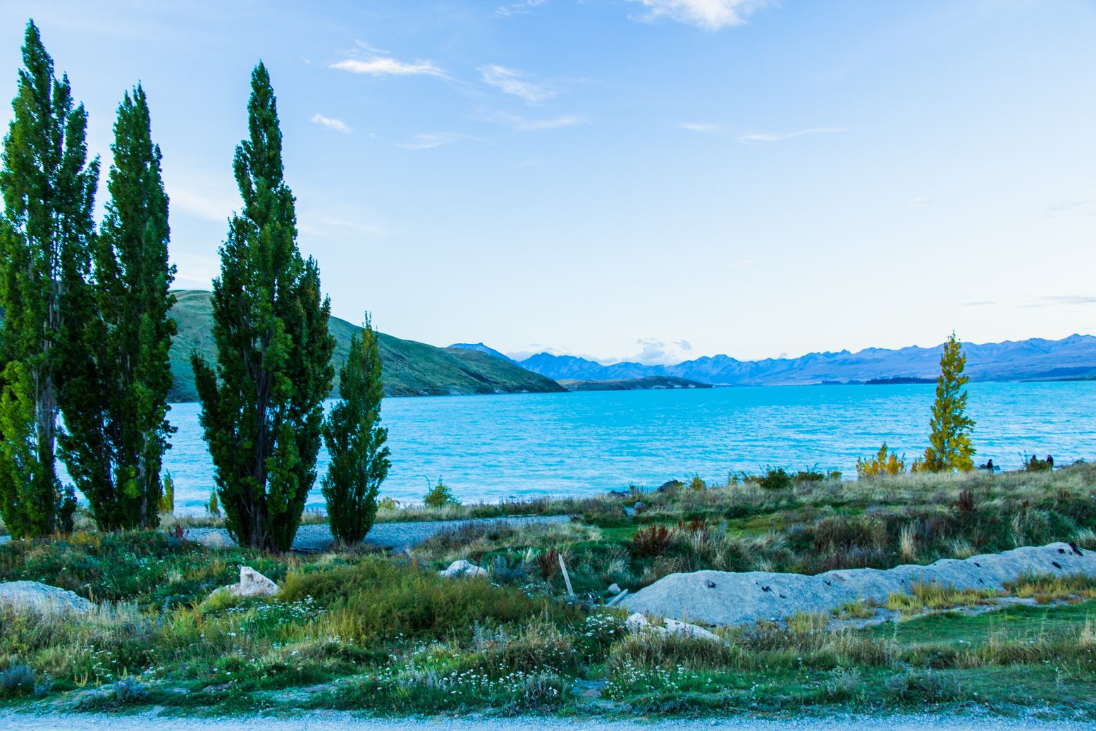 新西兰旅游必备大牌礼物,新西兰旅行攻略完整详细版