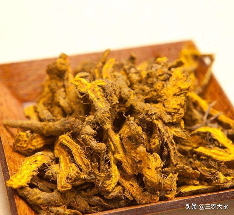 治疗鸡球虫小妙招,治鸡球虫最好的土方法