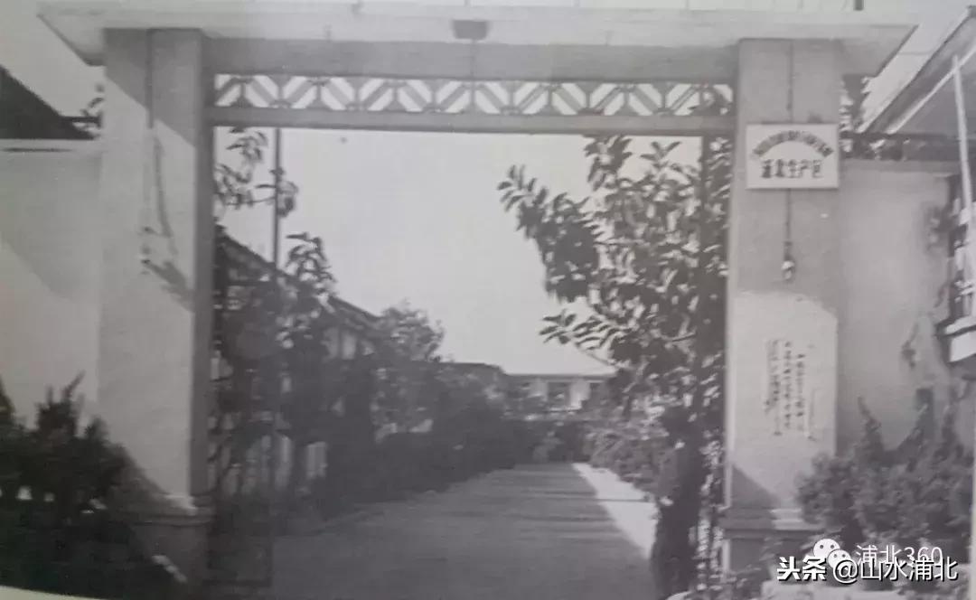 老式烟有哪些,老浦北