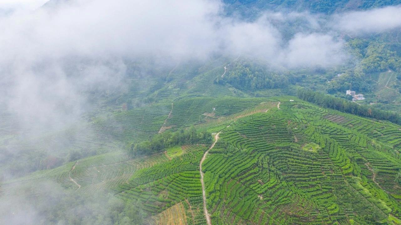 我的家乡湖南凤凰,我的家乡潮州视频