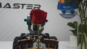 圣诞节送女朋友礼物推荐吃的,异地恋圣诞节送女朋友什么礼物