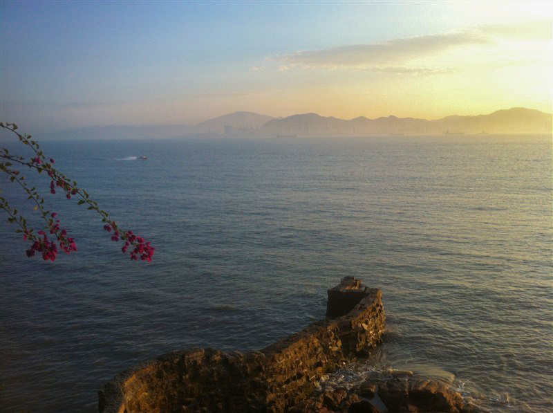 厦门鼓浪屿免费,厦门景点半价政策最新规定