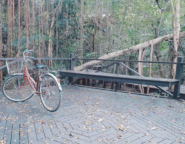 暑假泰国怎么玩,暑假去泰国旅游需带什么