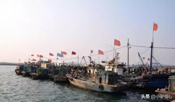 海鲜干货推荐烟台店有哪些,烟台海鲜干货怎么挑