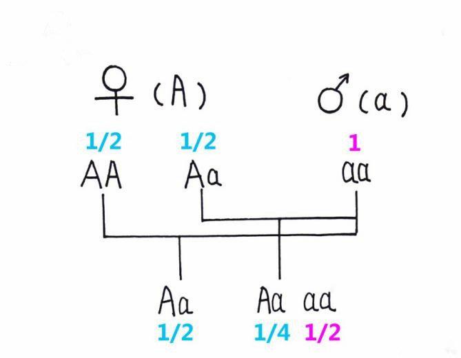 父母脱发孩子也是会掉头发吗,父母一方脱发会遗传给女儿吗